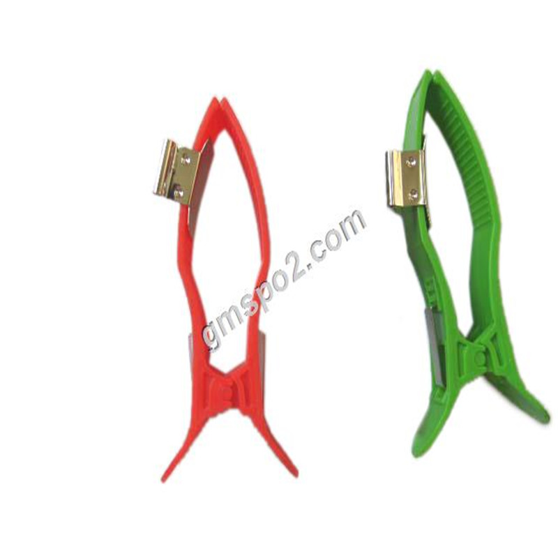 Leictródú Limb-.jpg